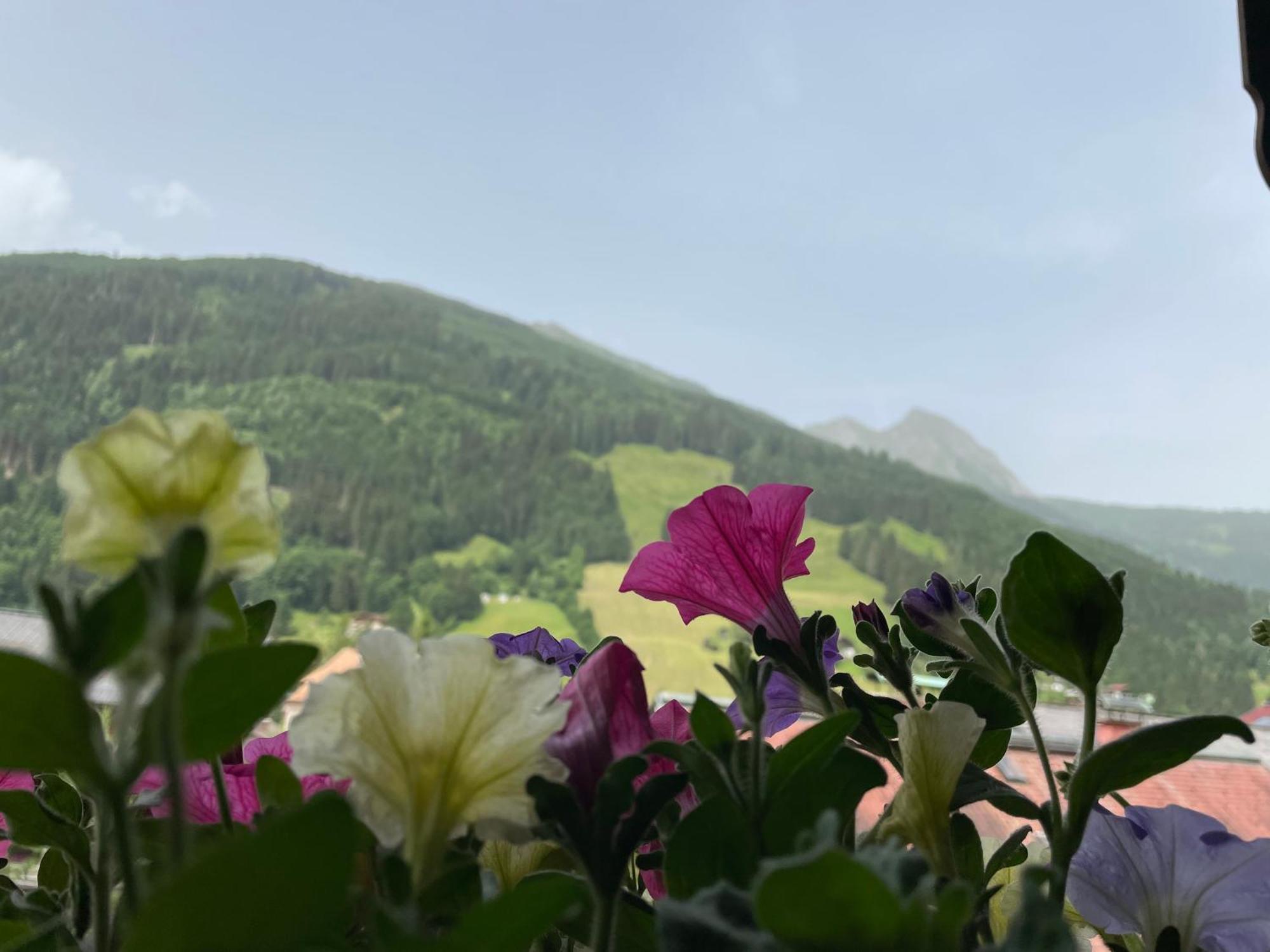 Wengerbauer Villa Dorfgastein Exteriör bild